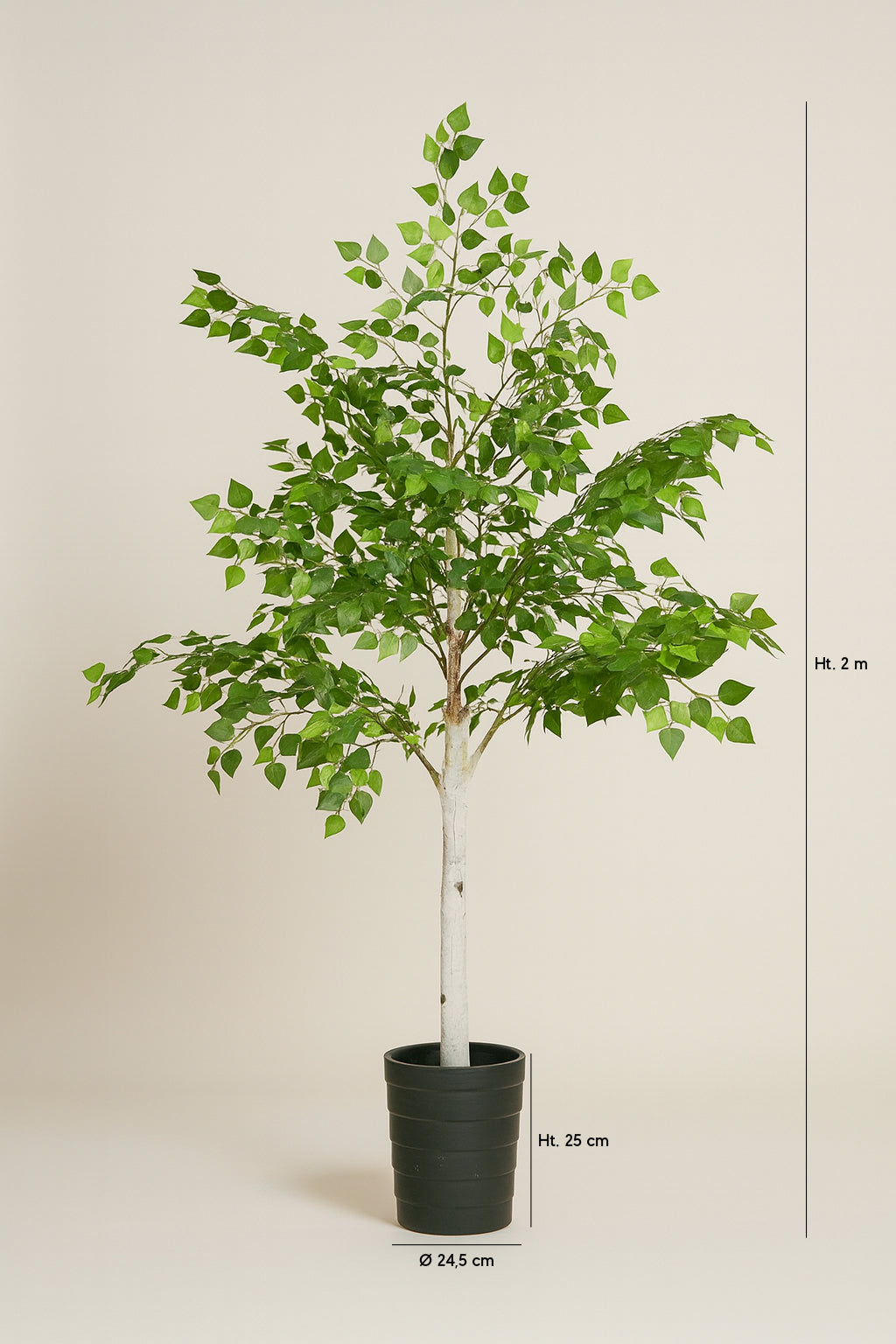 Dimensions Fray - Bouleau artificiel avec pot noir H200 cm