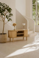 Hector - Meuble TV 2 portes en bois