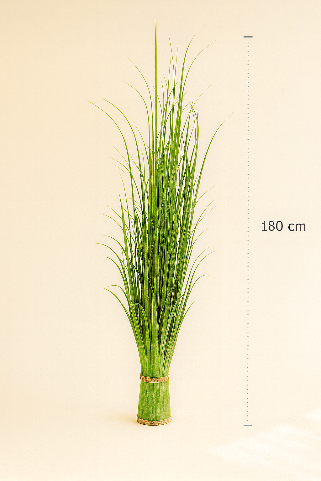 Dimensions Aquaplanter - Jonc artificiel H180 cm