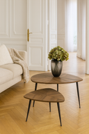 Cobra - Set de deux tables gigognes