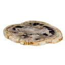 Palu - Plateau de présentation en bois pétrifié